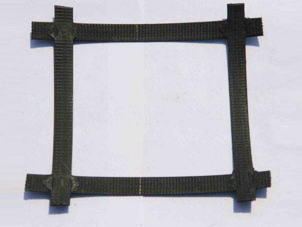 c(din)鿴Ԕ(x)Ϣ(bio)}ϣPP xΔ(sh)6162